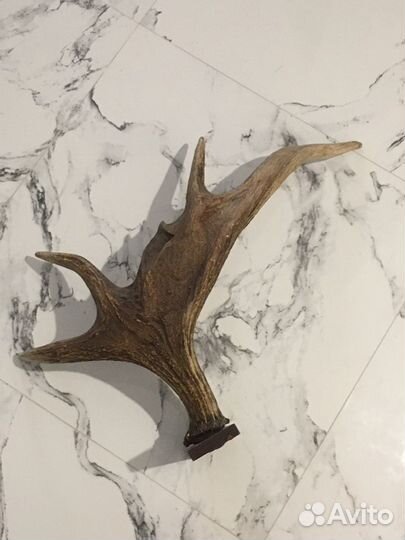 Декор интьера