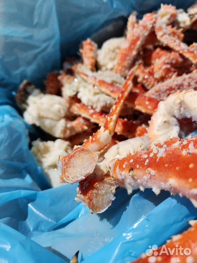 Камчатский краб размер S