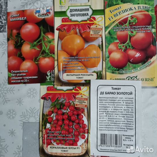 Рассада томатов, перцев, баклажанов под заказ