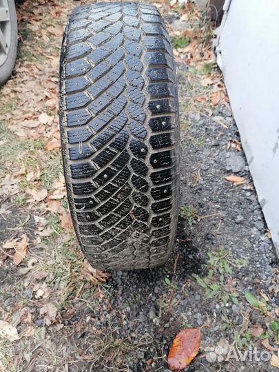 Gislaved Nord Frost 200 165/65 R15