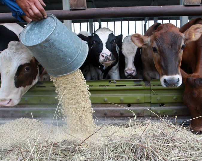 Корм для животных опт/розница