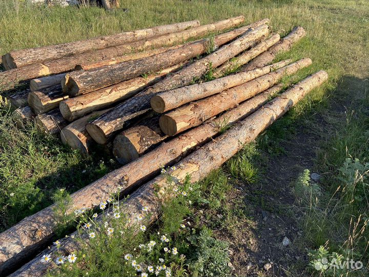 Сруб бревна сосна