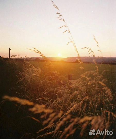 Пленочный фотоаппарат Olympus Trip 301