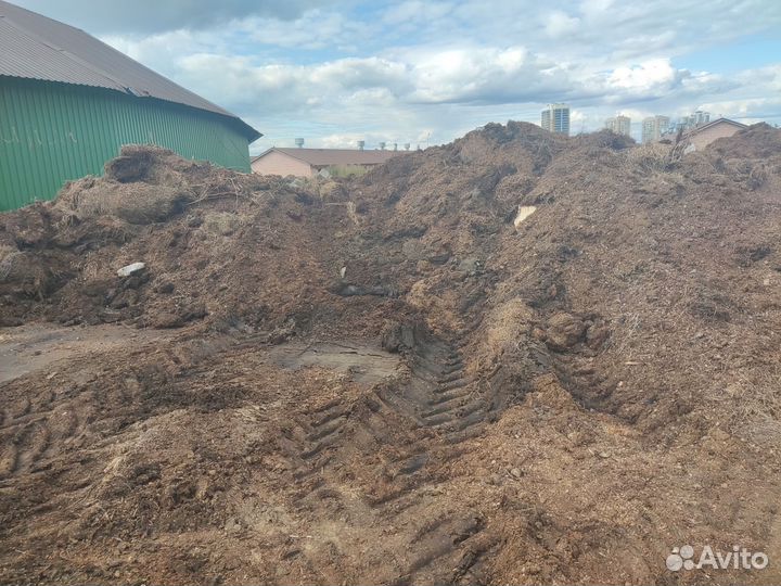 Перегной навоз