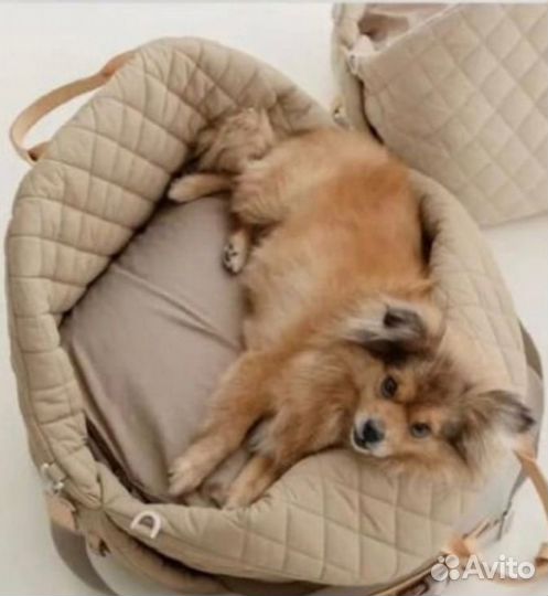 Переноска для собак