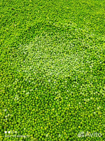 Отходы для с/х животных и птиц