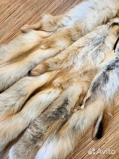 Шкура лисы