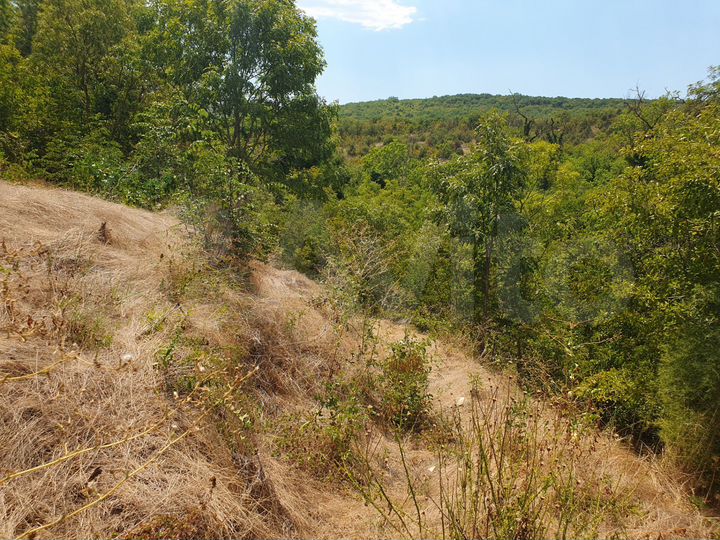 Участок 6,9 сот. (СНТ, ДНП)