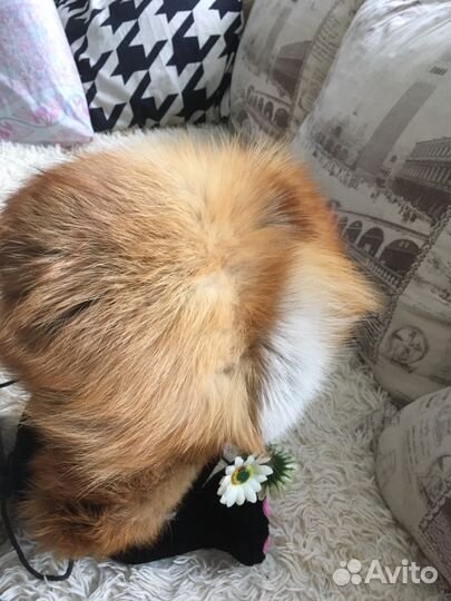 Меховая шапка