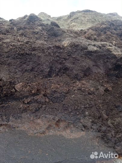 Чернозем перегной конский