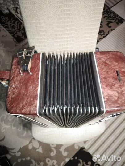 Баян кировский