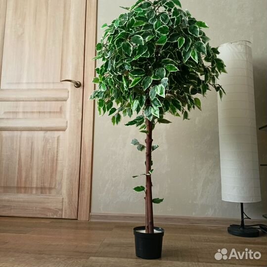 Фикус Бенджамина и другая искусственная зелень