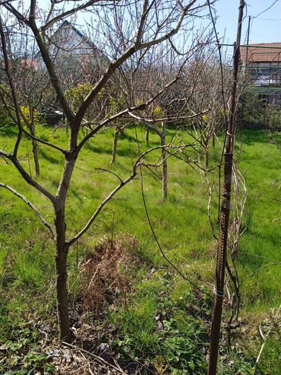 Участок 5 сот. (ИЖС)