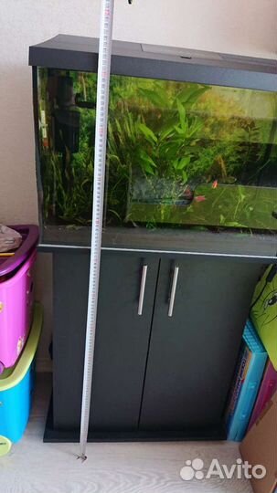 Аквариум Aquael leddy set 60