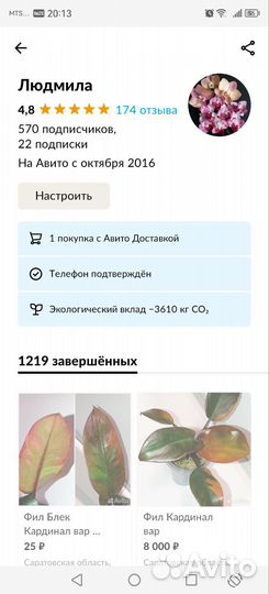 Синг Розе mini