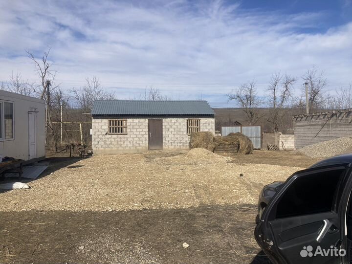 Ферма Кашара для животноводства и теплицы