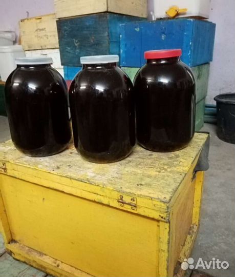 Гречишный мёд (яркий и насыщенный вкус) доставка