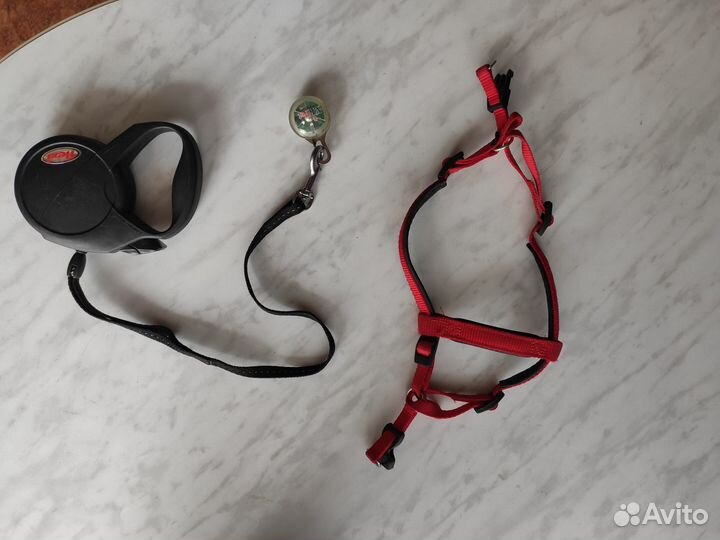 Шлейка, поводок, световой маячок