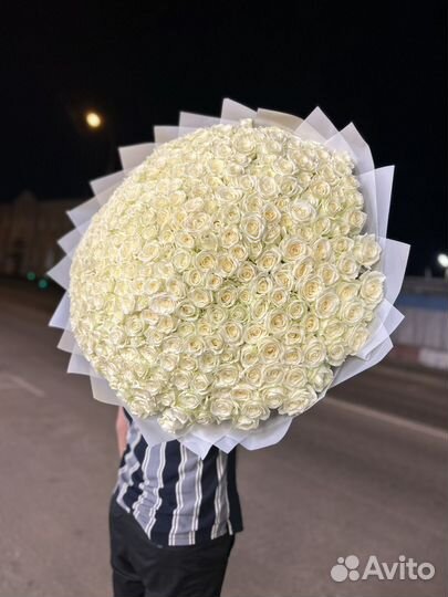 101 белая роза 70 см