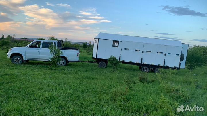 Павильон для пчел