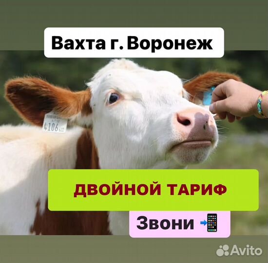 Упаковщик вахтой в Воронеже. двойной тариф