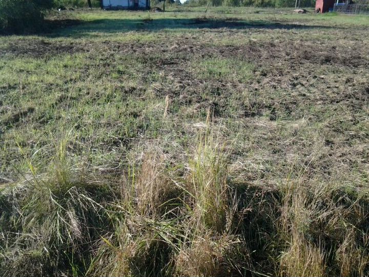 Участок 20 сот. (ИЖС)