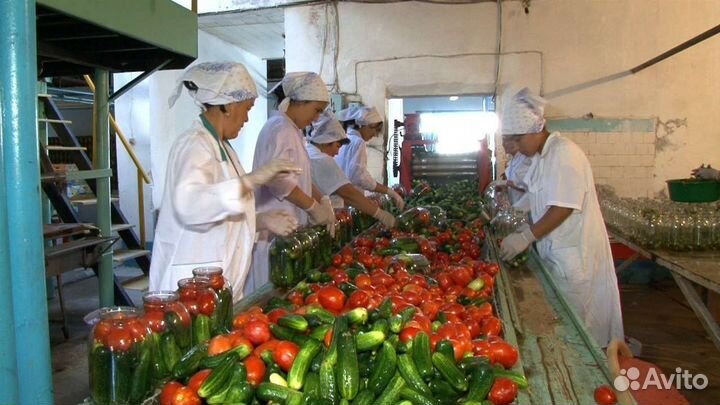 Фасовщики М и Ж Вахта питание проживание