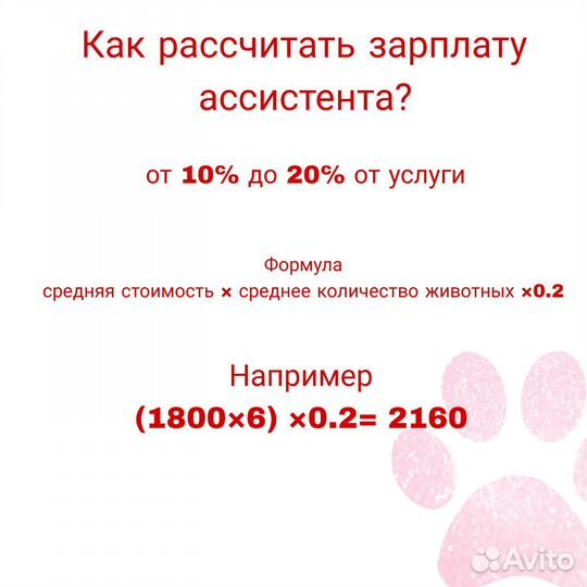 Курсы груминга