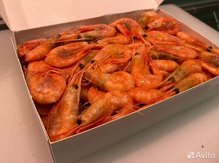 Креветка северная. Свежий. Опт
