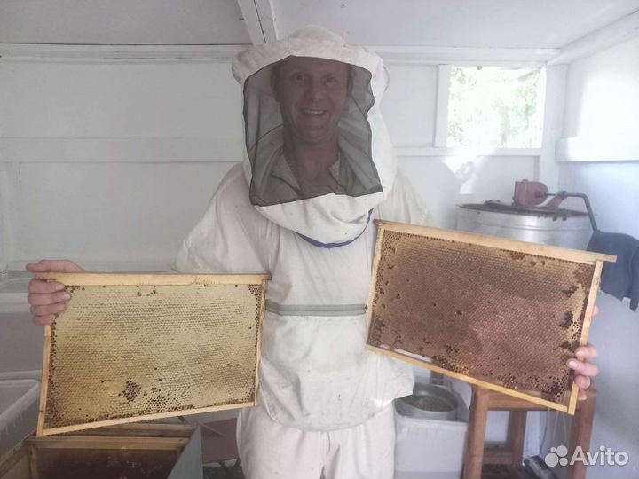 Мед разнотравье