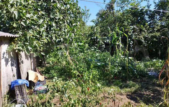 Участок 12 сот. (ИЖС)