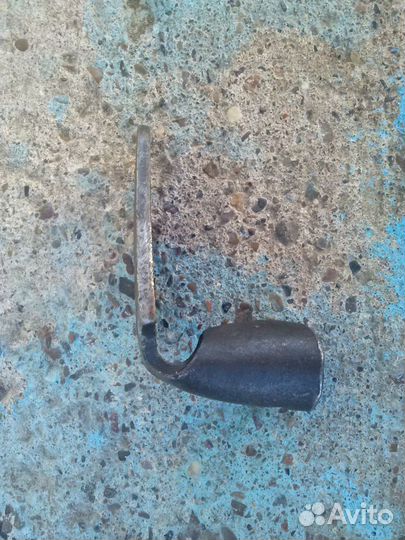 Лапка сапожника