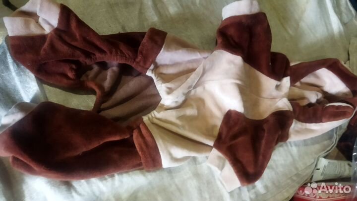 Одежда для собак