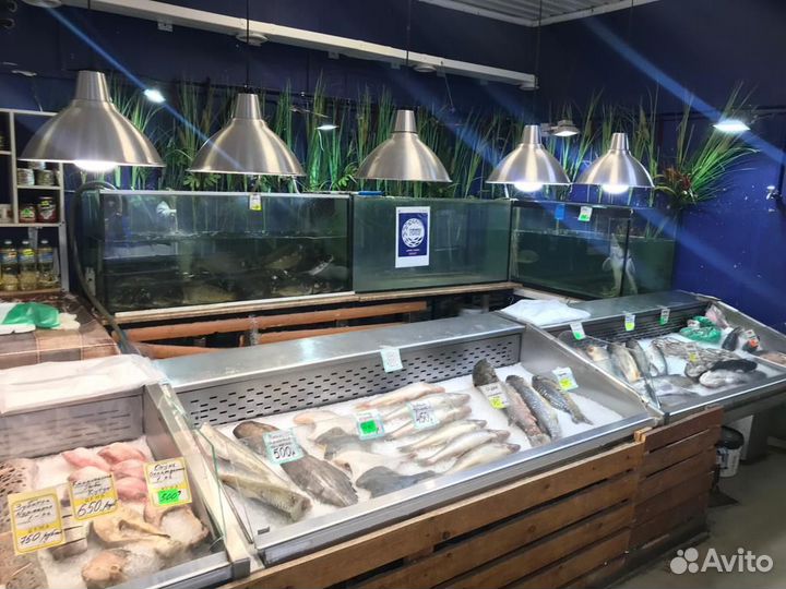 Рыбный отдел Рыбный Магазин