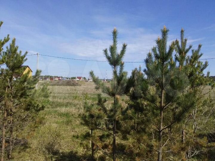 Участок 15 сот. (СНТ, ДНП)