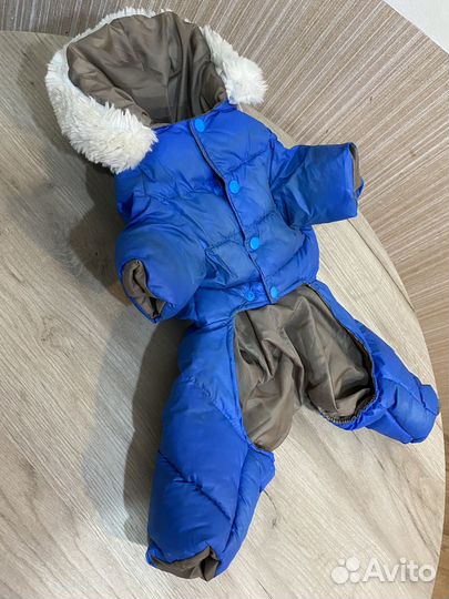 Зимний комбинезон для маленькой собачки