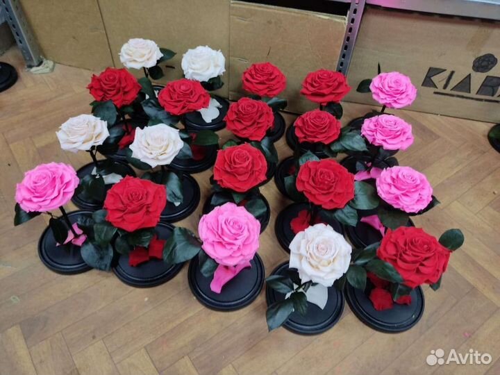 Роза в колбе