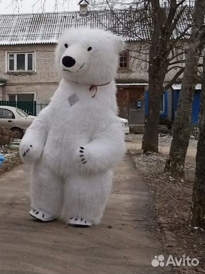 Поздравление Мишка, Панда, Чебурашки и других