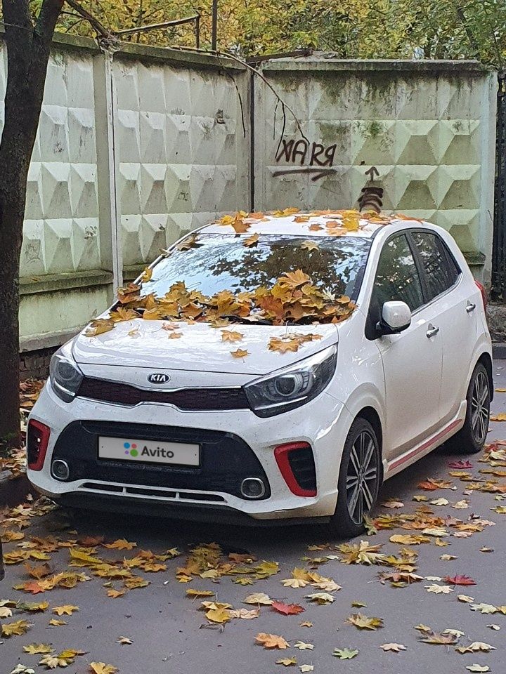 Kia Picanto: фото владельца