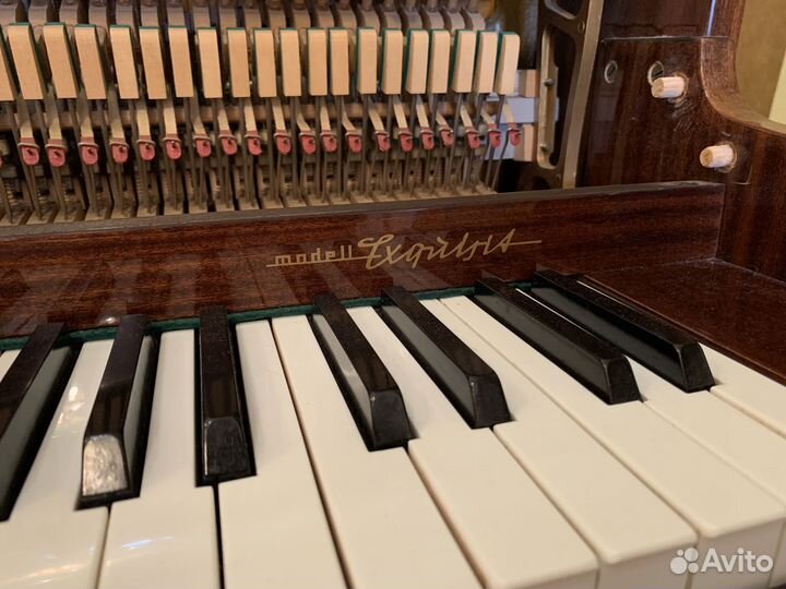 Пианино ronisch