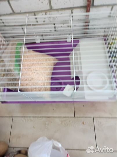 Клетка для декоративного кролика