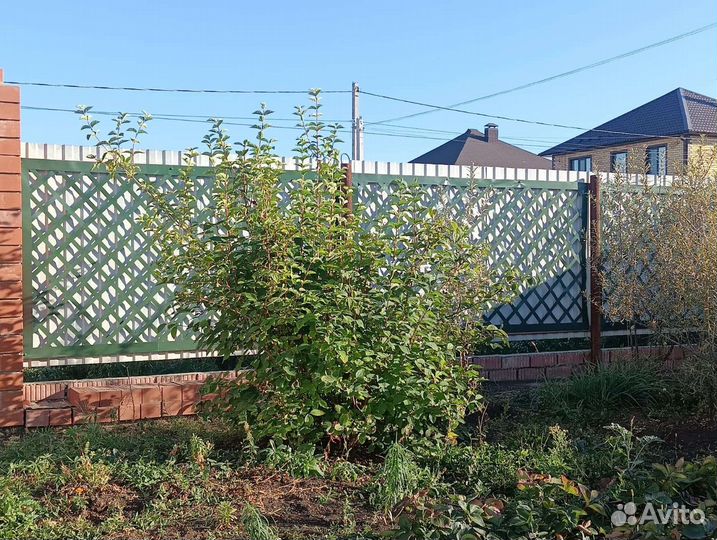 Гибкая пергола Шпалера Архитектурные формы из пвх