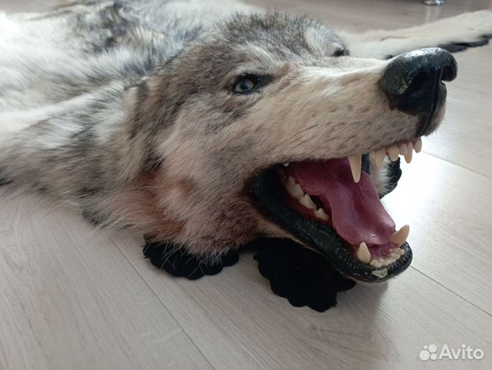 Шкура волка (ковер)