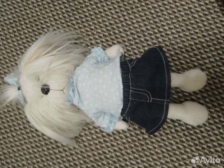 Собака лаки мими