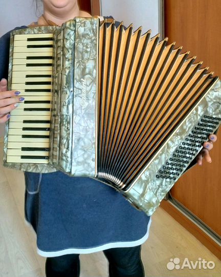Аккордеон carsini