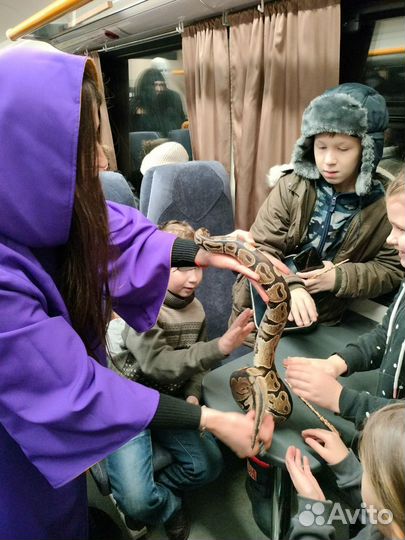 Детские праздники
