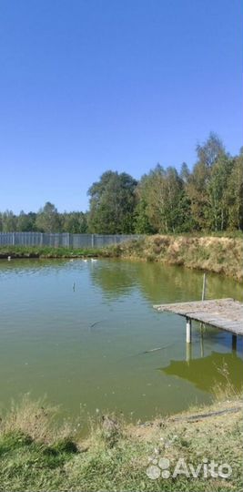 Животноводческая ферма продаю