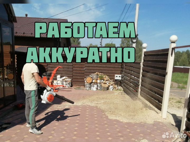 Спилить дерево, валка частями