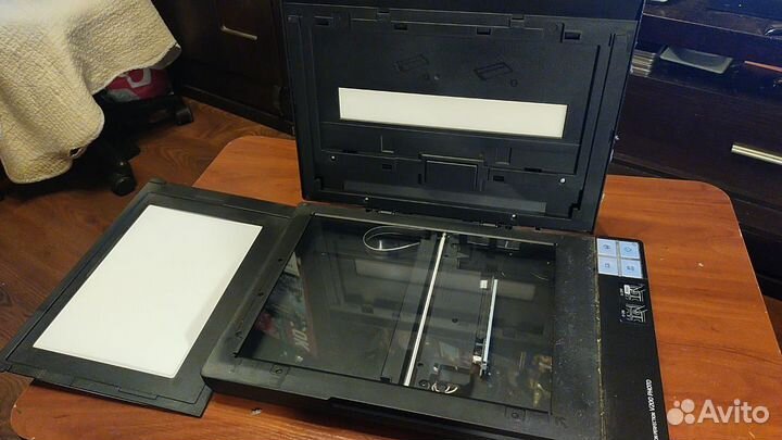 Сканер планшетный Epson фото под Windows 10