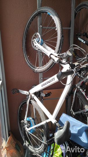 Winora S3 sport line